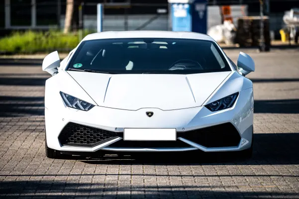 Casino Dogs Fortune Android/iOS App